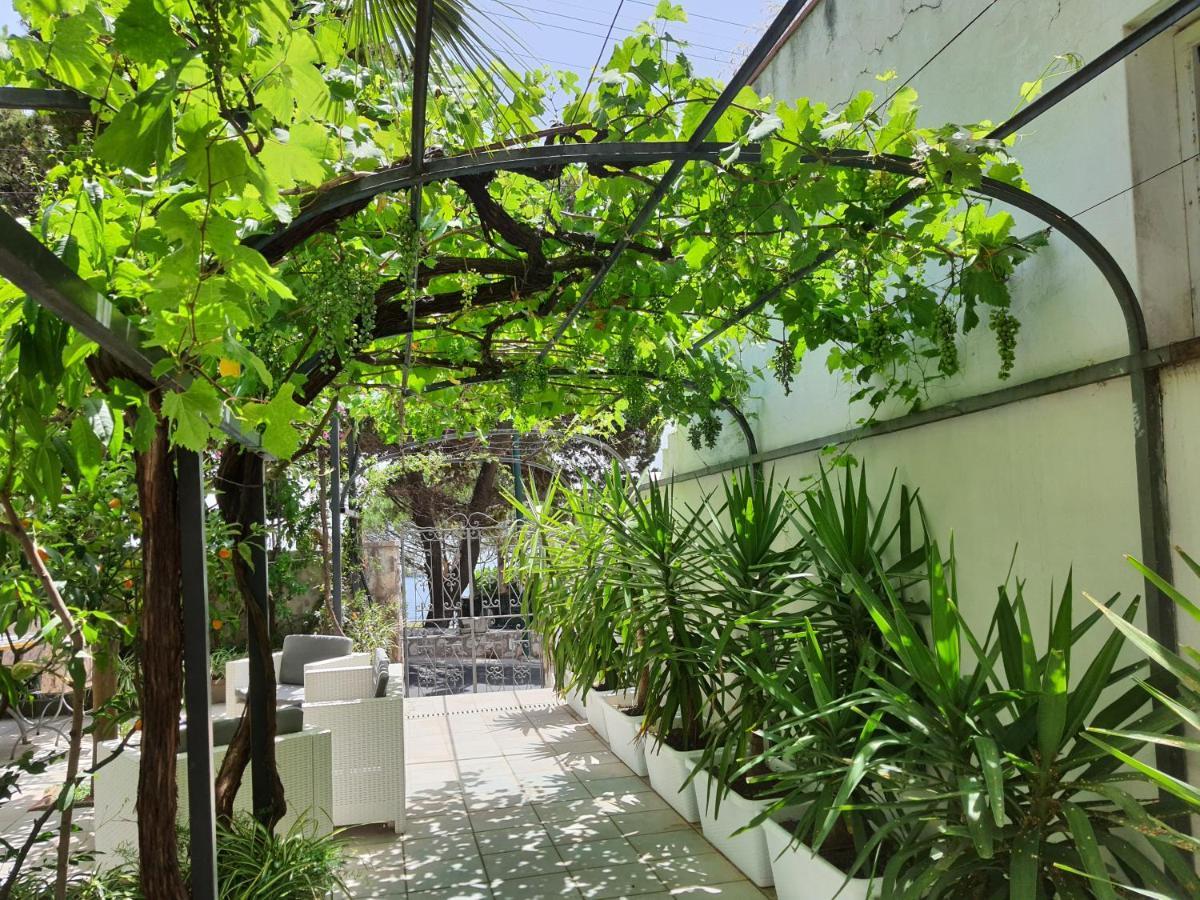 Hotel Nautilus Κάπρι Εξωτερικό φωτογραφία