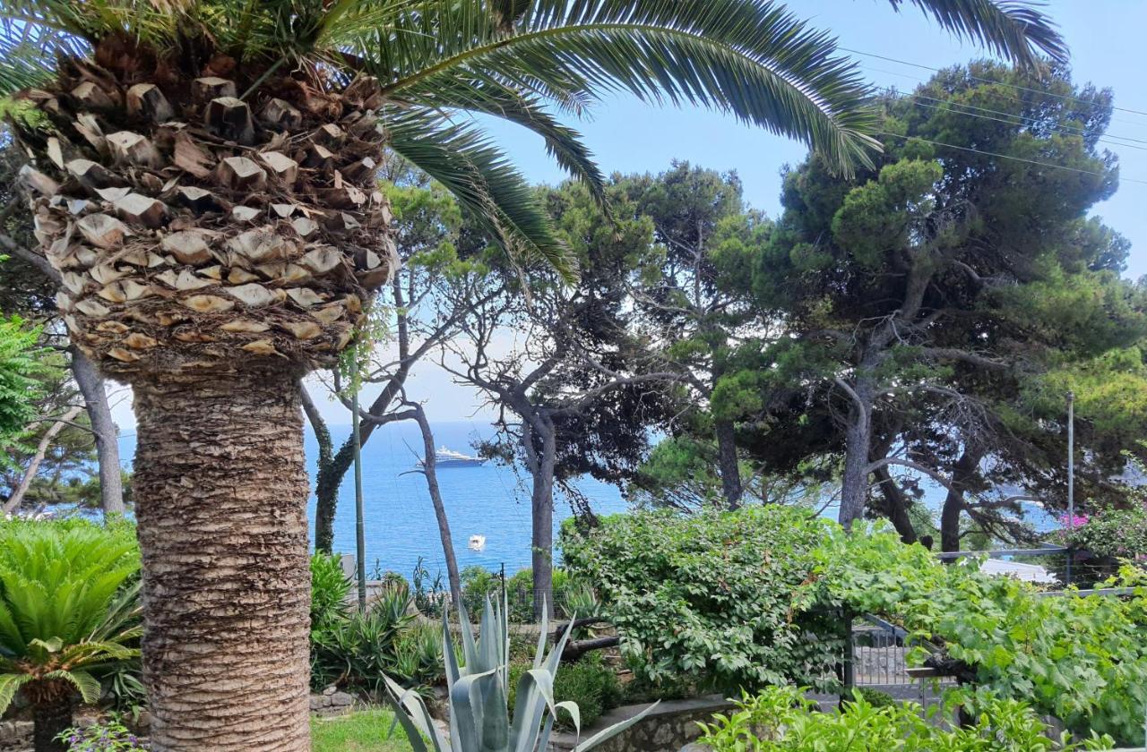 Hotel Nautilus Κάπρι Εξωτερικό φωτογραφία