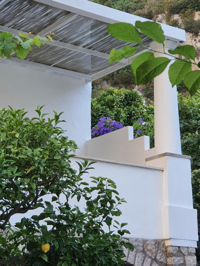 Hotel Nautilus Κάπρι Εξωτερικό φωτογραφία