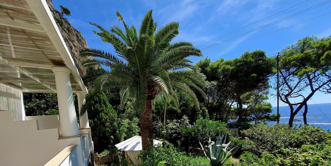 Hotel Nautilus Κάπρι Εξωτερικό φωτογραφία