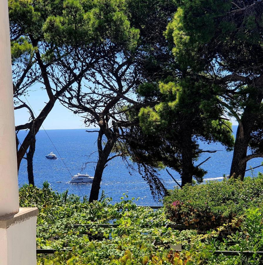 Hotel Nautilus Κάπρι Εξωτερικό φωτογραφία